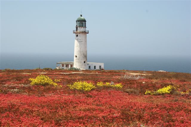 The San Benito Island Lighthouse