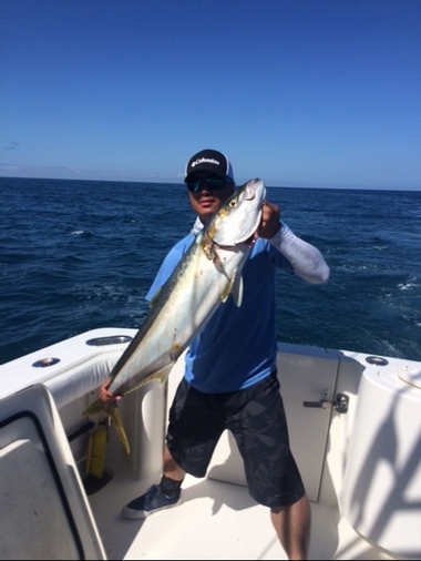 yellowtail